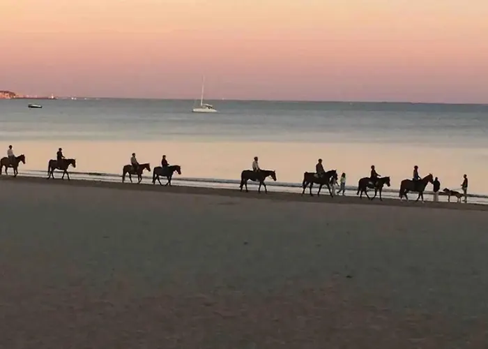 : T2 Tres Proche Au Calme *